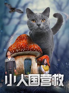 亚洲视频在线a视频